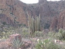 photo thumbnail #10