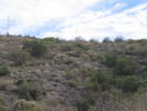 photo thumbnail #11