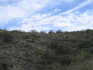 photo thumbnail #12
