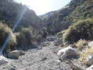 photo thumbnail #7