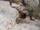 photo thumbnail #13