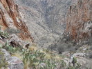 photo thumbnail #14