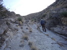 photo thumbnail #11