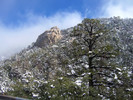photo thumbnail #2