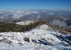 photo thumbnail #15