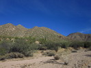 photo thumbnail #8