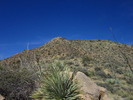 photo thumbnail #12