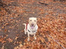 photo thumbnail #2