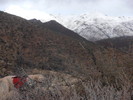 photo thumbnail #7