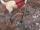 photo thumbnail #10