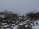 photo thumbnail #13