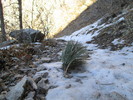 photo thumbnail #6