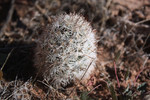 photo thumbnail #11