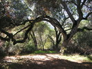 photo thumbnail #1
