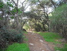 photo thumbnail #11
