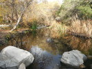 photo thumbnail #15
