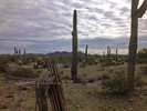 photo thumbnail #4