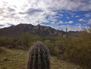 photo thumbnail #5