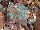 photo thumbnail #13