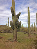 photo thumbnail #14