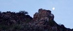 photo thumbnail #1