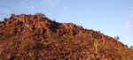 photo thumbnail #3