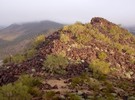 photo thumbnail #6