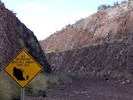 photo thumbnail #11