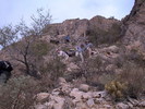 photo thumbnail #9