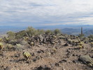 photo thumbnail #2