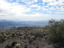 photo thumbnail #3