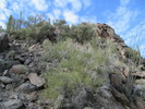 photo thumbnail #2