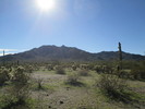 photo thumbnail #14