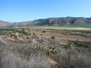 photo thumbnail #3