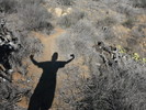 photo thumbnail #4