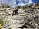 photo thumbnail #7
