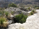photo thumbnail #11