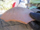 photo thumbnail #6