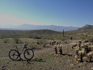 photo thumbnail #2