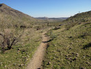 photo thumbnail #9