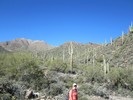 photo thumbnail #4