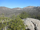 photo thumbnail #1