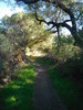 photo thumbnail #7