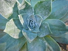 photo thumbnail #11