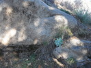 photo thumbnail #12