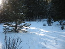 photo thumbnail #7