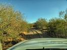 photo thumbnail #4