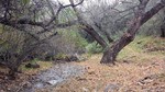 photo thumbnail #12