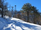 photo thumbnail #3