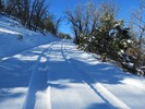 photo thumbnail #4
